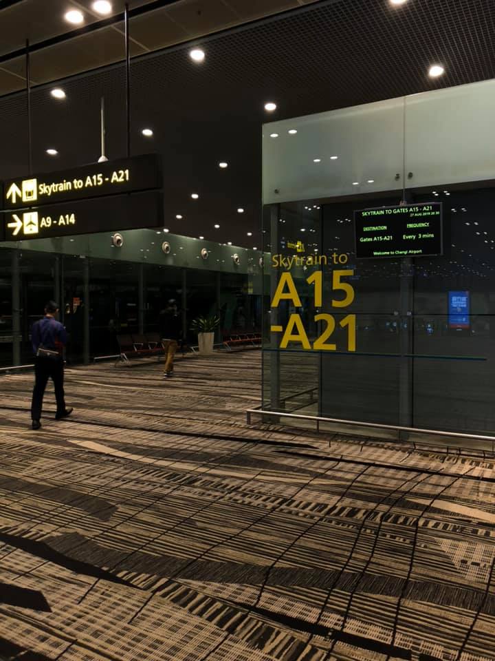 80880439_10157738443782530_831040094050713600_n